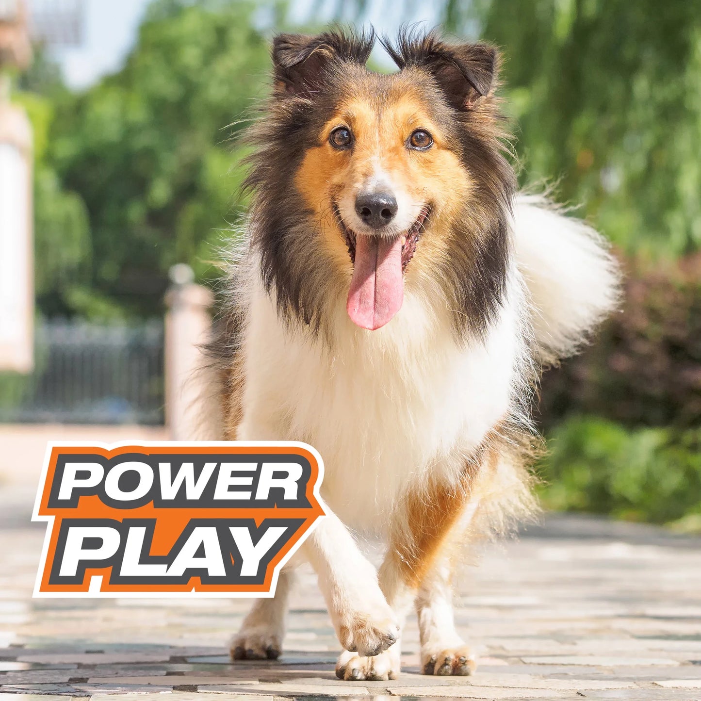 Power Play Crazy Ball Dog Toy Large/Giant - up to 50 Lbs. (1 Count)